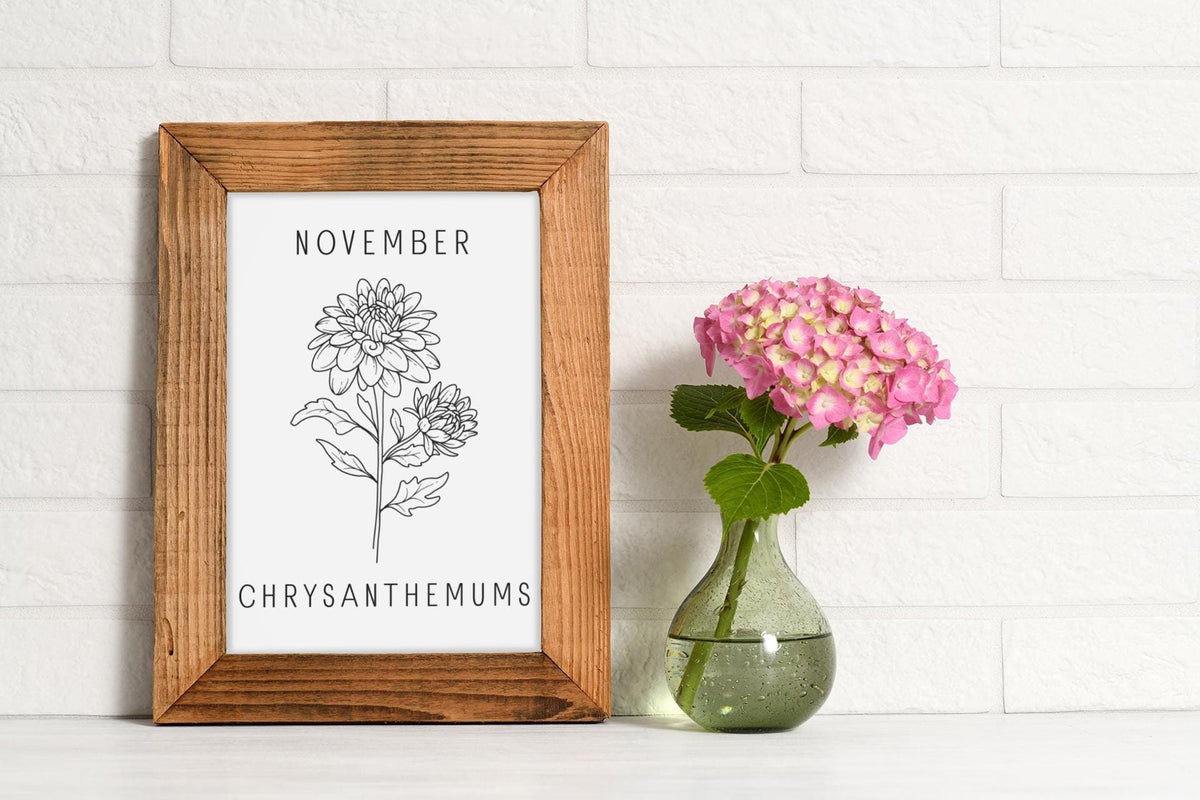 November Birth Flower Print - Chrysanthemum Wall Art