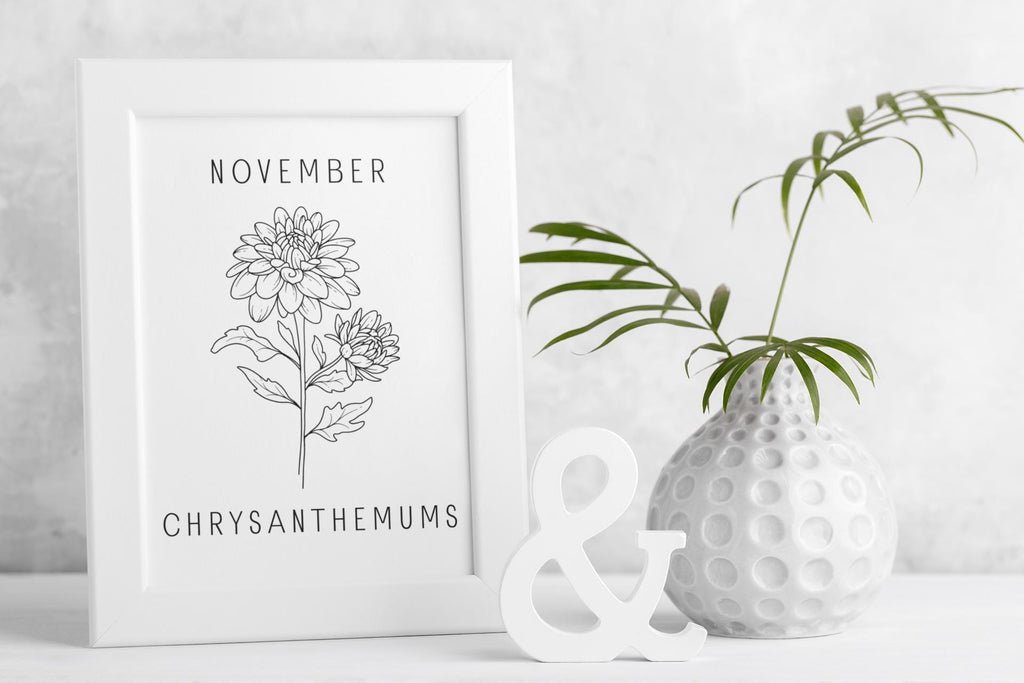 November Birth Flower Print - Chrysanthemum Wall Art