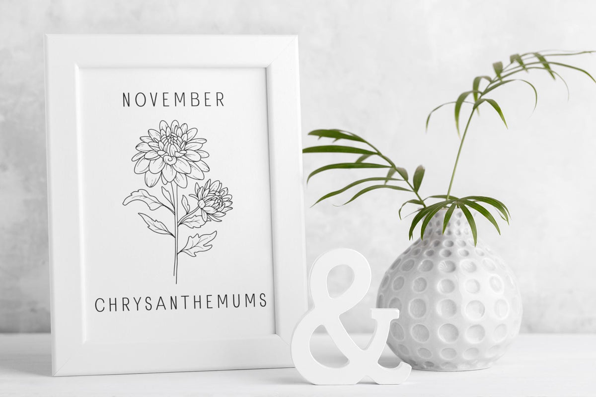 November Birth Flower Print - Chrysanthemum Wall Art